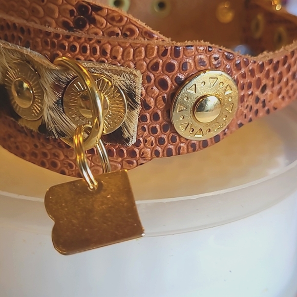 Dog Collar/Leather Dog Collar Small - Picture 3 of 5